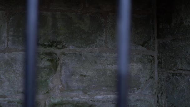 Antigua celda de la prisión de piedra a través de barras de metal — Vídeo de stock