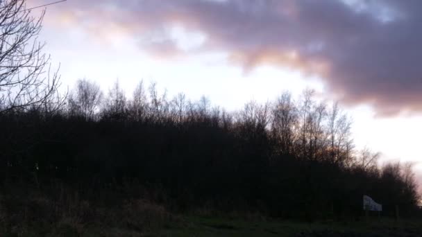 云彩掠过林地光秃秃的树木时光流逝 — 图库视频影像