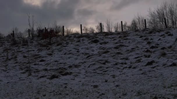 Vintersnö scen mot mörk himmel — Stockvideo