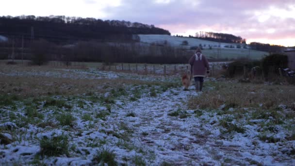 Dog walker in winter landscape — Stock Video