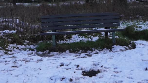 降雪後の冬の空のベンチ — ストック動画