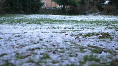 Kışın kar yağdıktan sonra çimlere park et 