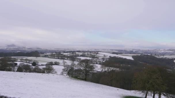 Paisagem rural inglesa terras agrícolas e árvores após a queda de neve do inverno — Vídeo de Stock