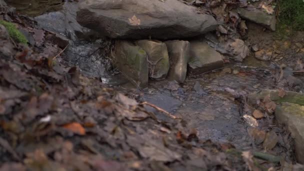 Natürlicher flacher Wasserlauf, der im Herbst über Felsen fällt — Stockvideo