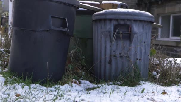 Szemetes kukák egy havas téli napon — Stock videók