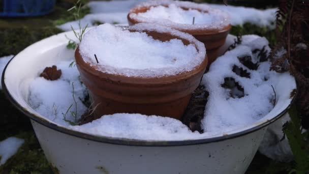 Las macetas en el jardín en invierno después de la nevada — Vídeos de Stock