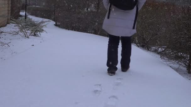 Kvinnlig vandrare utforska landsbygden med snö faller — Stockvideo