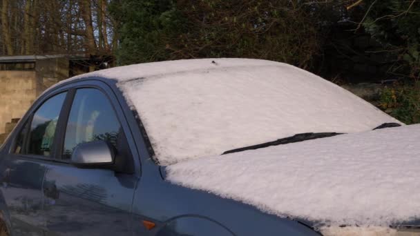 冬は雪に覆われた駐車場 — ストック動画