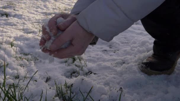 Руки, делающие снежок в зимний день — стоковое видео