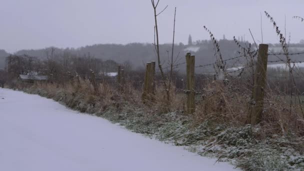 Snö faller på åkermark taggtråd staket på vintern dag scen — Stockvideo
