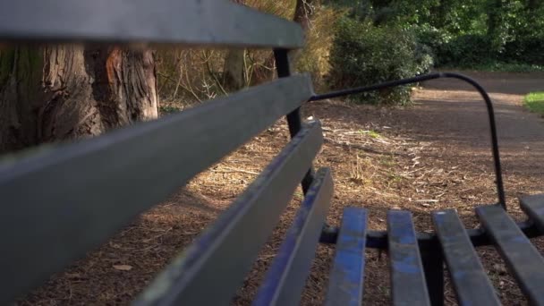Πάγκος σε πάρκο με μονοπάτι και δέντρα — Αρχείο Βίντεο