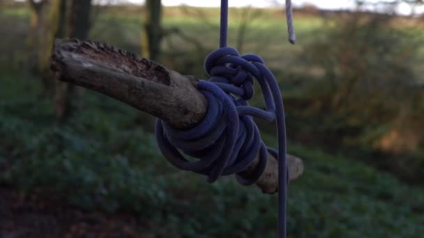 Homemade childrens swing made from tree branch and rope — Stock Video