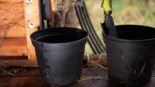Houten tuinhuisje met plantenpot en tuingereedschap — Stockvideo