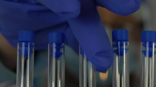 Medical staff working with test tubes in a laboratory — Stock Video