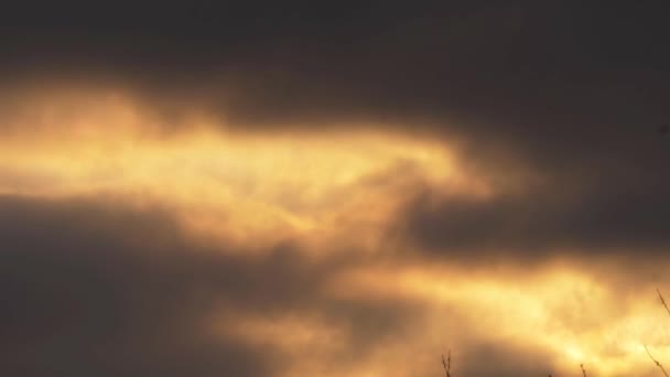 Timelapse of clouds at sunset golden and gray — Stock Video