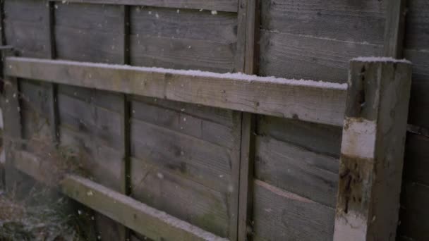 Sníh padá s rustikálním dřevěným plotem pozadí — Stock video