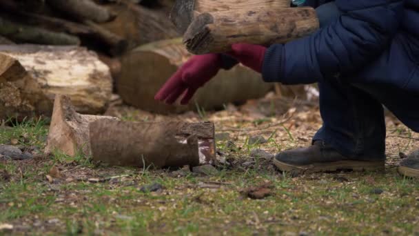Kvinnen plukker opp tømmer fra logpile – stockvideo