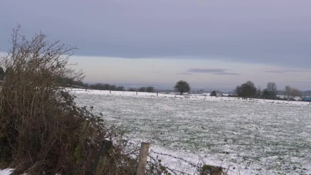 Paisagem de inverno de terras agrícolas na Inglaterra rural — Vídeo de Stock