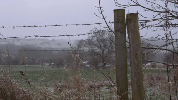 Snö faller på åkermark taggtråd staket på vintern dag scen — Stockvideo