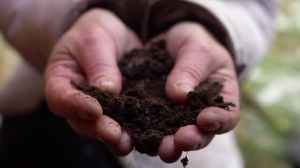 Hands holding and touching soil — Stock Video