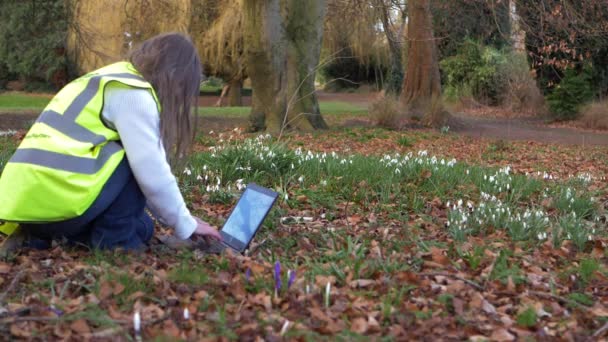 Bevarandevolontär arbetar i hi vis jacka på laptop i parken — Stockvideo