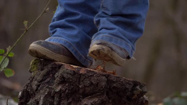 Fötter som står på ett nyklippt träd i skogen — Stockvideo