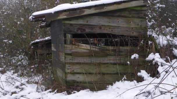 Staré vratké dřevěné kůlny v zimní scéně po sněžení — Stock video