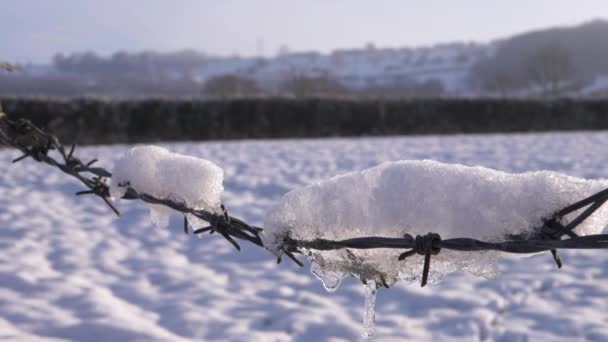 Neve e gelo em uma cerca de arame farpado no campo de agricultores no inverno — Vídeo de Stock