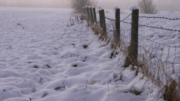 Jordbruksmark med taggtrådsstängsel efter snöfall på vintern — Stockvideo