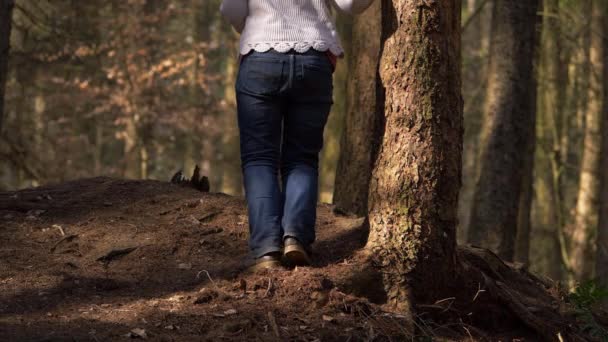 Mujer se apoya contra pino en el bosque — Vídeos de Stock