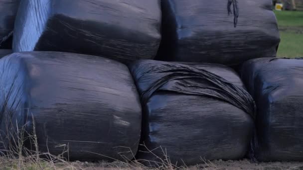 农民田里的青贮袋 — 图库视频影像
