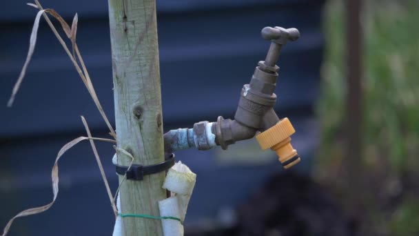 Bahçedeki çürük musluk musluğu — Stok video