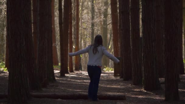 Mujer despreocupada se extiende en el dosel del bosque de pinos — Vídeos de Stock