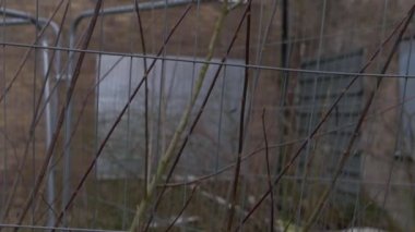 Remains building after fire through view of fence 