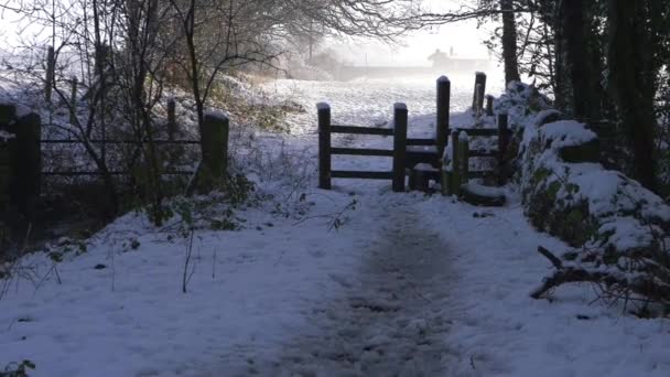 Stile dans les campagnes agricoles en hiver après les chutes de neige — Video