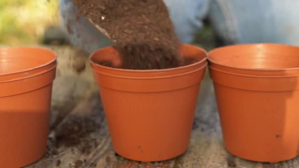 Zahradník připravuje květináče s půdou — Stock video