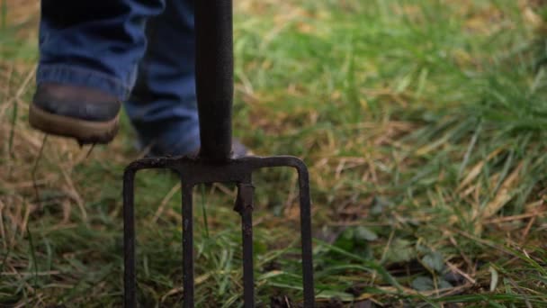 Trädgårdsmästare gräva trädgård med en gaffel — Stockvideo