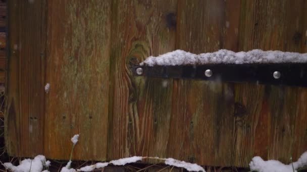 Antiguo cobertizo rústico en invierno mientras cae nieve — Vídeo de stock