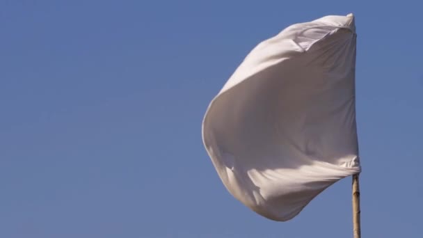 Bandera blanca de rendición sopla en el viento — Vídeos de Stock