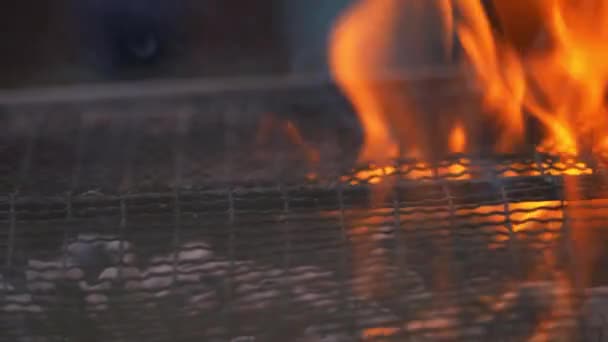 Fiamme e fumo su una griglia barbecue — Video Stock