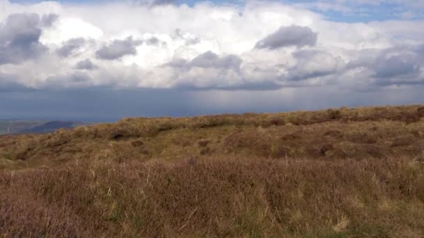 Yorkshire hedar mot blå himmel och moln horisont — Stockvideo