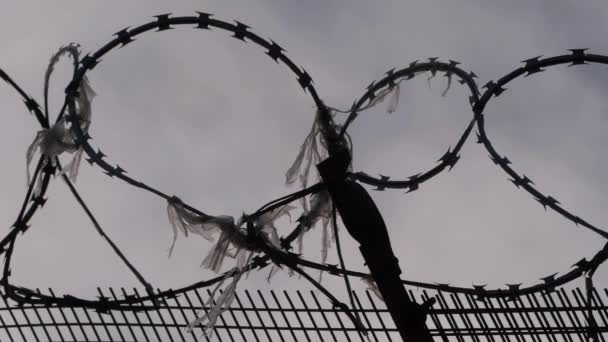 Razor wire silhouette against gray skies cloudy skies — Stock Video