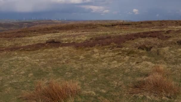 Yorkshire hedar mot blå himmel och moln horisont — Stockvideo