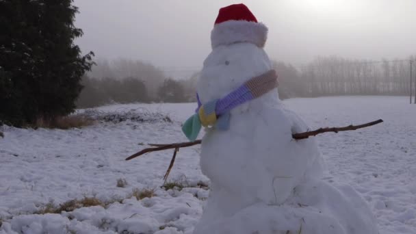 Χιονάνθρωπος κασκόλ και καπέλο στον τομέα του χειμώνα — Αρχείο Βίντεο