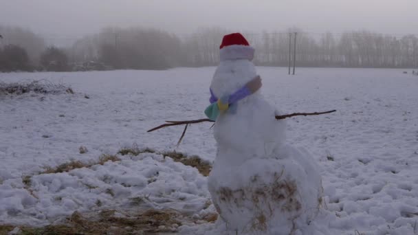 Snögubbssjal och mössa på vinterfältet — Stockvideo