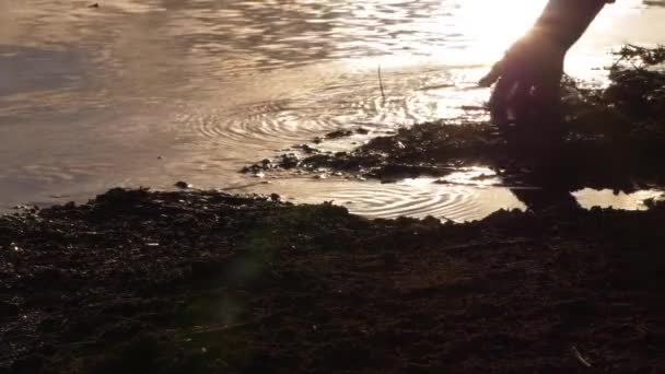 Το χέρι παίζει με το νερό στο ηλιοβασίλεμα — Αρχείο Βίντεο
