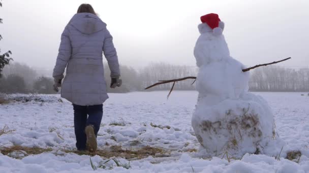 Snögubbe och vandrare i ett fält — Stockvideo