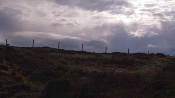 Moody landschap van heide in Yorkshire Peak district — Stockvideo