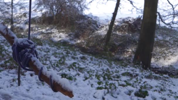 Columpio vacío en el bosque de invierno — Vídeos de Stock