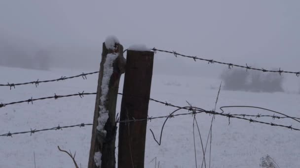 Farmland barbed wire fence in winter covered on snowy foggy day — Stock Video